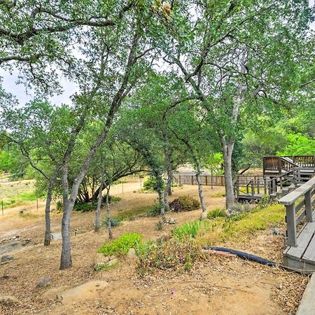 Charming Home Less Than 10 Mi To Sequoia Natl Park! Три Ривърс Екстериор снимка